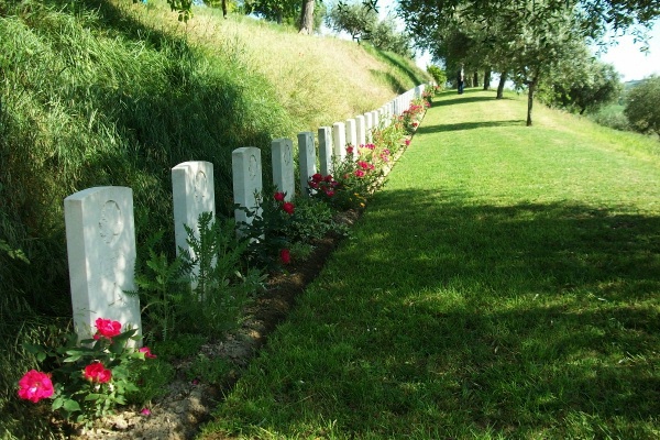 Row of markers in the tiered cemetery - Gradara War Cemetery - May 2013 Photo courtesy of Marg Liessens