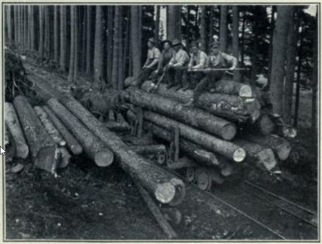 Railing logs in Scotland