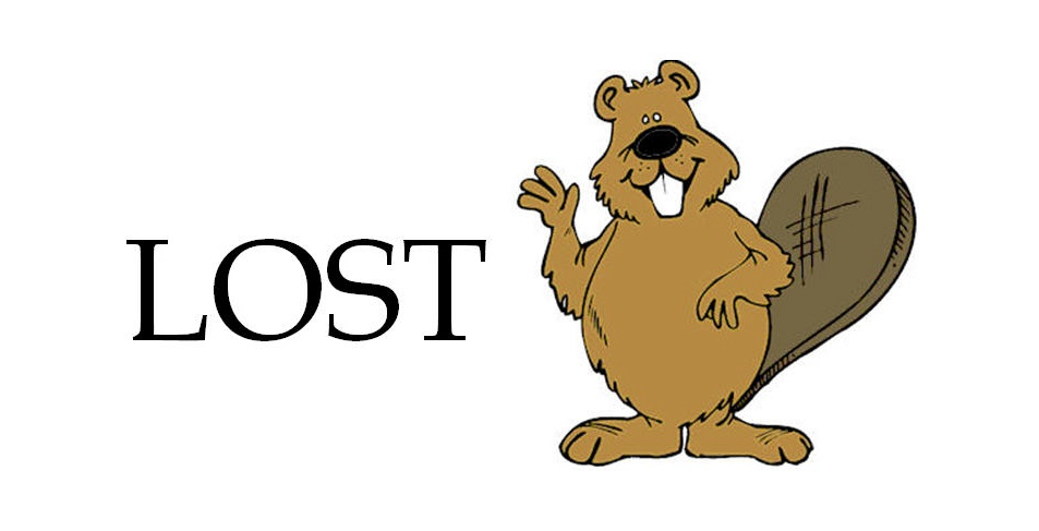 Lost Beaver