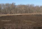 The Abatoir SIte After Remediation // Après l’assainissement du site