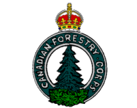 Canadian Forestry Corps Badge