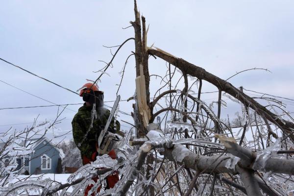 Member of 4 Engineer Support Regiment removing an ice laden tree