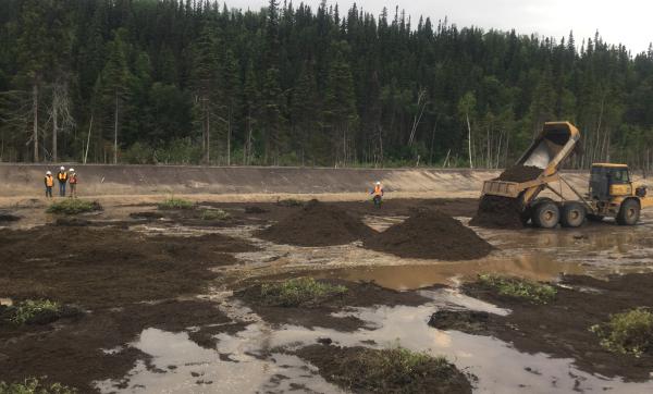 Planting vegetation in the Engineered Wetland, South Escarpment at CFB Goose Bay, NL