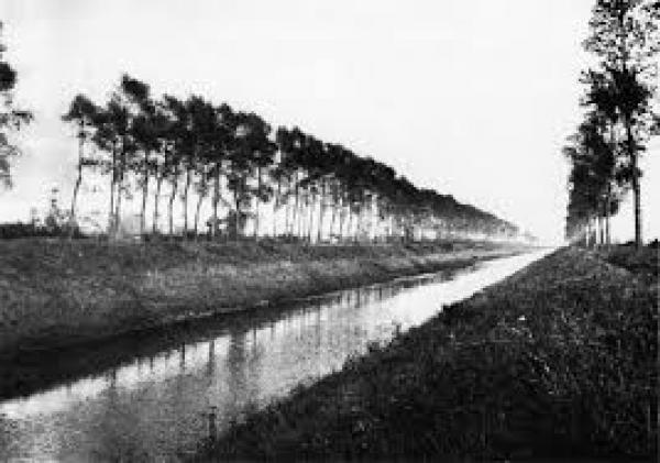 Typical canal in the Breskens Pocket with steep banks and topped with poplar trees
