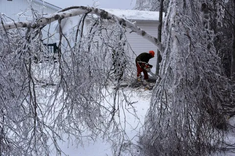 Member of 4 Engineer Support Regiment felling an ice laden tree