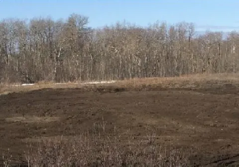 The Abatoir SIte After Remediation // Après l’assainissement du site